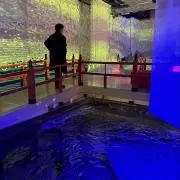 いつき