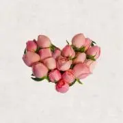 ジェラ※プロフ必読の画像