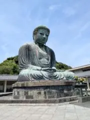 ハトチャンの画像