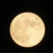 名無しの太郎