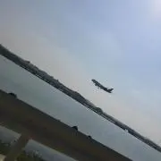 あり