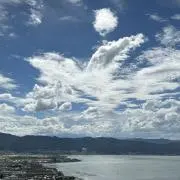はなはなの画像