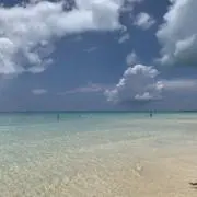 ピーナッツの画像