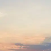 Ri