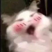 月の画像