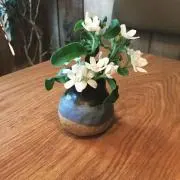 da_adの画像