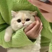 __kmtの画像