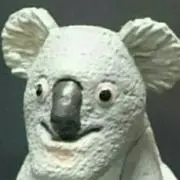ぽんの画像