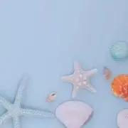 OLu MeLの画像