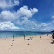 ぷぅーちぃの画像