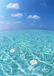 coloo♨の画像