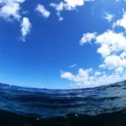 ゆき