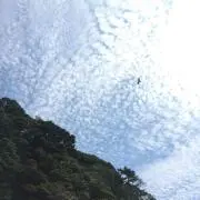 たけ