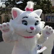 ちゃっきーの画像