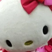 みんみん。昼間は返信出来ません。