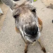 YUNの画像
