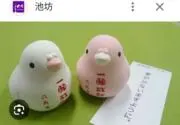 チュンすずめの画像