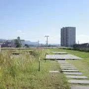 suicaの画像