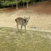 たくやの画像