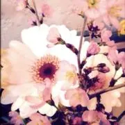 ルルネネの画像