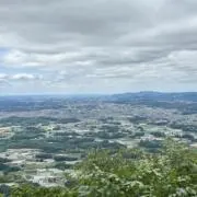 P-lantsの画像