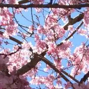 さんずいの画像