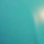 wgmocの画像
