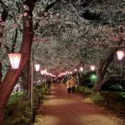 [断捨離中・即日発送・簡易包装]のんたんの画像
