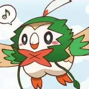 フクロウの画像