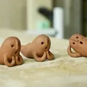 おもちの画像