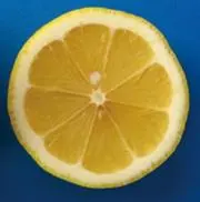 クエンの画像