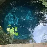 チッププロフ必読の画像