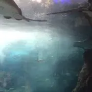 aooi77の画像