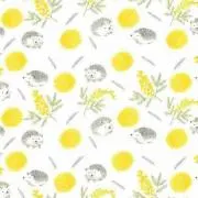 mocaの画像