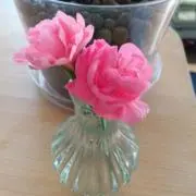 にゃんちゅうの画像