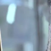 0の画像