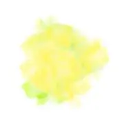 菜の花/ネイルチップ屋さんの画像