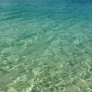 ぽかぽかさんの画像