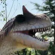 エンゾ☆プロフ読んでね