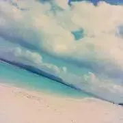 ぬんの画像