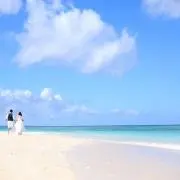 hanaの画像