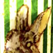 oaの画像