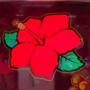 あきの画像