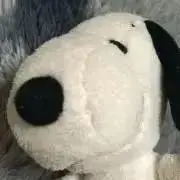 スヌープィ