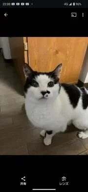 なっちぃパパ