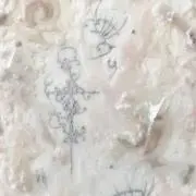 しゅがしゅがるーんの画像