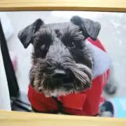 ゆん★プロフ必読お願いします★の画像