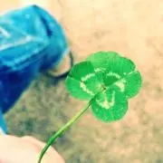 ヤブコ