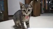 りぃちゃんママの画像