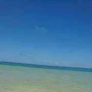 ゲリラセール！！THE best釣具☆の画像